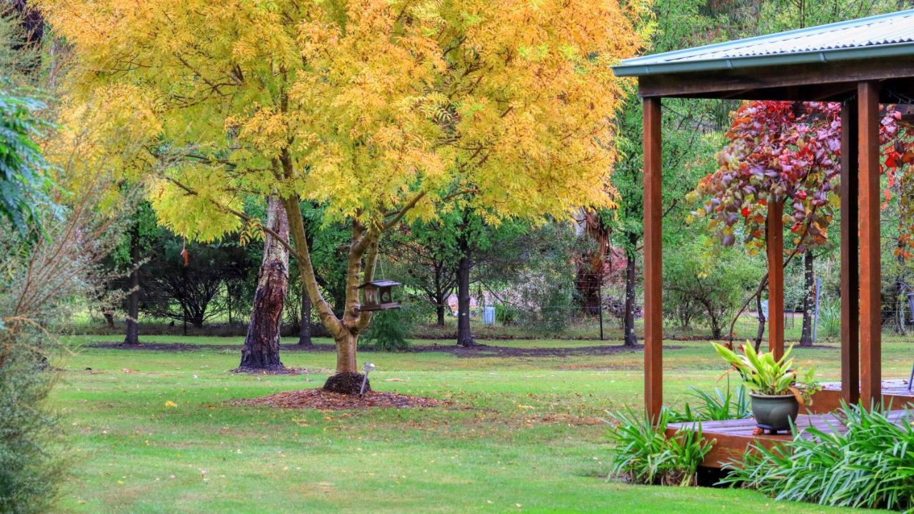 Beechworth Cedar Cottages Esterno foto