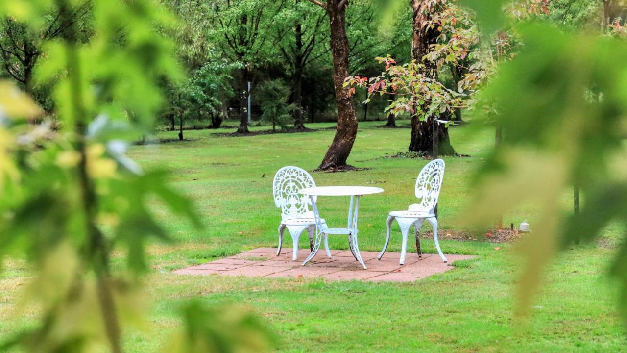 Beechworth Cedar Cottages Esterno foto